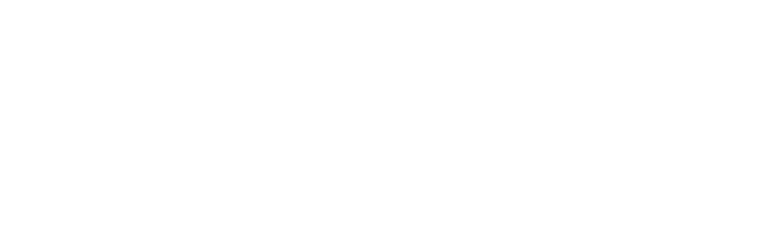 cnr_logo_pag